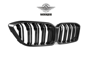 Double Slat (One-Piece) Front Grill for BMW F87 M2 Competition and CS